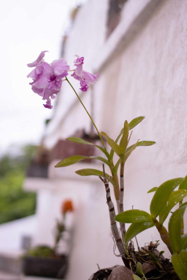 Azamat Self-catering * Pointe La Rue